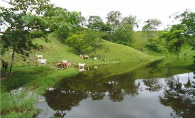 SE VENDE FINCA MUNICIPIO DE PUERTO BOYACA .