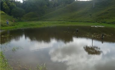 SE VENDE FINCA MUNICIPIO DE PUERTO BOYACA .