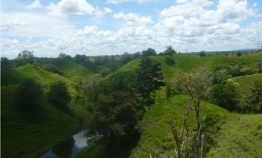 SE VENDE FINCA MUNICIPIO DE PUERTO BOYACA .