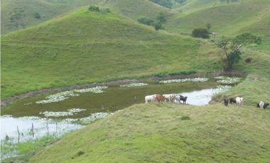 SE VENDE FINCA MUNICIPIO DE PUERTO BOYACA .