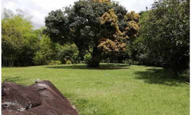 Venta Finca en Yolombó, 6.000 mts2, independiente
