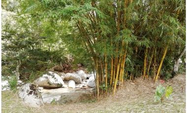 Venta Finca en Yolombó, 6.000 mts2, independiente