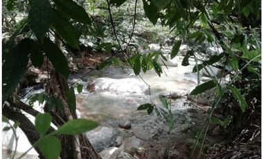 Venta Finca en Yolombó, 6.000 mts2, independiente