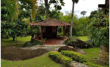 Venta Finca en Yolombó, 6.000 mts2, independiente