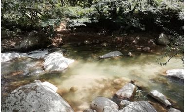 Venta Finca en Yolombó, 6.000 mts2, independiente