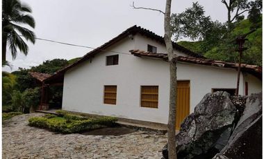 Venta Finca en Yolombó, 6.000 mts2, independiente