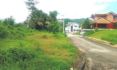 Affordable 189 SQM Subdivision Lot for Sale in Greenwoods near Talamban Cebu City with discounts