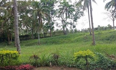 769sqm. Farm Lot in Tierra Maria Estates, Lipa, Batangas