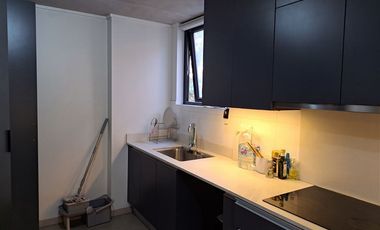 Departamento en Venta en LUIS THAYER OJEDA CON LOTA