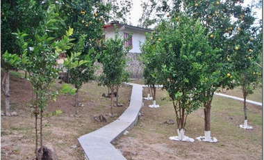 Oportunidad! Se Vende Amplia Propiedad en La Laguna de San Carlos