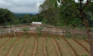 Jual murah tanah kebun produktif udara dingin air mengalir desa pasanggrahan Purwakarta
