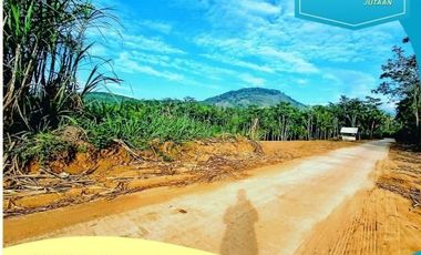 Tanah dijual di Jawa Timur, Tulungagung