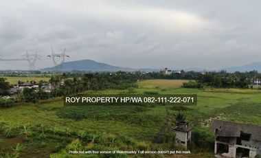 Dijual Tanah Cilegon Banten 7 Ha Dkt Exit Tol INDUSTRI MURAH