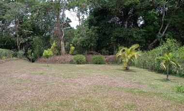 ALQUILO / VENDO CASA AMOBLADA  EN BOQUETE