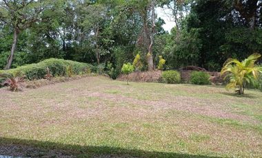 ALQUILO / VENDO CASA AMOBLADA  EN BOQUETE