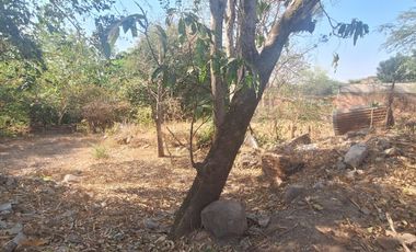 Casa en venta amplio terreno en Comala Colima