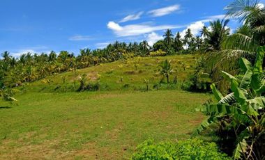 Borbon farm land ideal for poultry/piggery 6.8 hectares