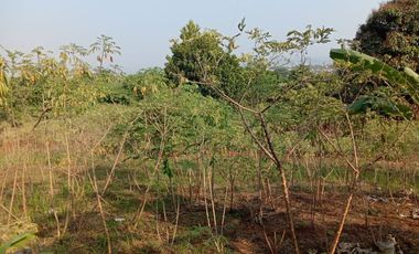 Tanah murah 2500mtr cimareme Bandung barat masuk mobil