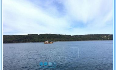 ISLA LAITEC / QUELLÓN