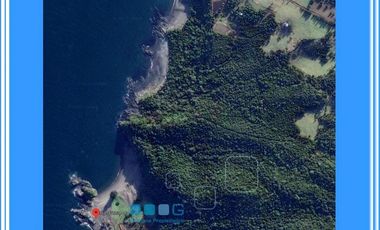 ISLA LAITEC / QUELLÓN