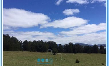 ISLA LAITEC / QUELLÓN