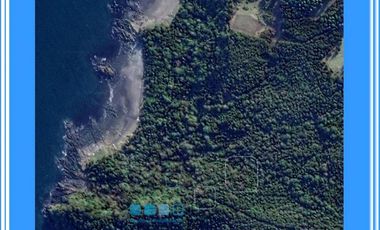 ISLA LAITEC / QUELLÓN