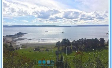 ISLA LAITEC / QUELLÓN