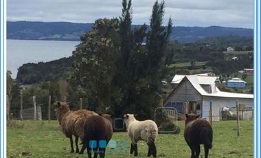 ISLA LAITEC / QUELLÓN