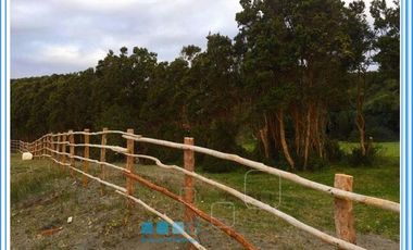 ISLA LAITEC / QUELLÓN