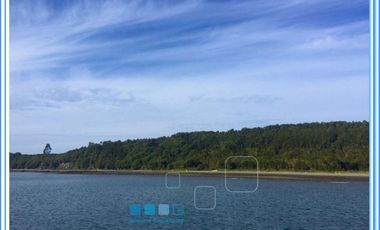 ISLA LAITEC / QUELLÓN