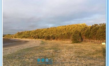 ISLA LAITEC / QUELLÓN