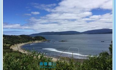 ISLA LAITEC / QUELLÓN