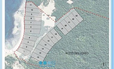 ISLA LAITEC / QUELLÓN