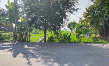 Di Jual Tanah Siap Bangun di Nol Jalan Raya Mlorah Nganjuk