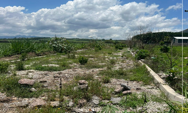TERRENO EN VENTA A UN LADO A LA UT XALISCO, NAYARIT.(E)