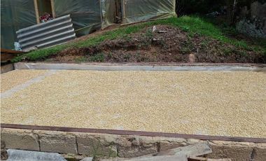 VENTA FINCA TITIRIBI, SUROESTE ANTIOQUEÑO
