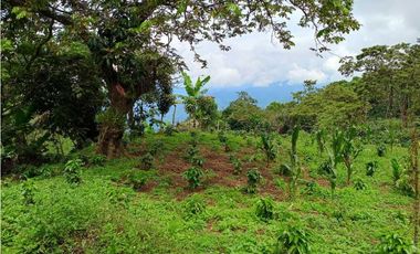 VENTA FINCA TITIRIBI, SUROESTE ANTIOQUEÑO