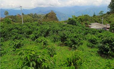 VENTA FINCA TITIRIBI, SUROESTE ANTIOQUEÑO