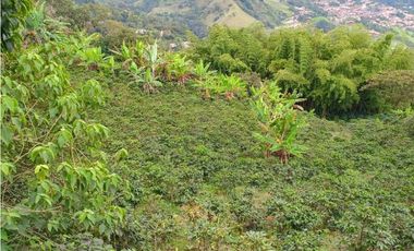 VENTA FINCA TITIRIBI, SUROESTE ANTIOQUEÑO