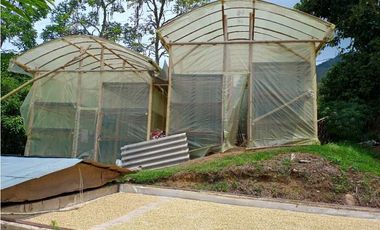 VENTA FINCA TITIRIBI, SUROESTE ANTIOQUEÑO
