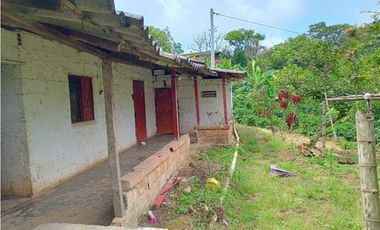VENTA FINCA TITIRIBI, SUROESTE ANTIOQUEÑO