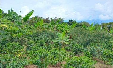 VENTA FINCA TITIRIBI, SUROESTE ANTIOQUEÑO