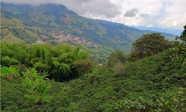 VENTA FINCA TITIRIBI, SUROESTE ANTIOQUEÑO