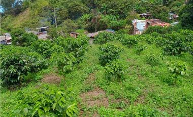 VENTA FINCA TITIRIBI, SUROESTE ANTIOQUEÑO