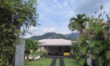 House for rent in Cebu City, Ma. Luisa 5 br with s. pool & large lawn, parking highly negotiable