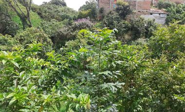 LOTE EN VENTA EN SANTA ROSA/ RISARALDA