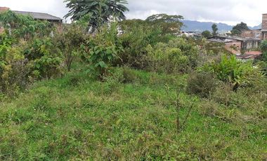 LOTE EN VENTA EN SANTA ROSA/ RISARALDA