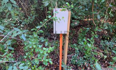 Parcela Sector BellaVista a 5 min del centro de Pucón