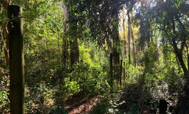 Parcela Sector BellaVista a 5 min del centro de Pucón