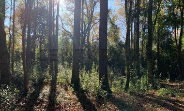 Parcela Sector BellaVista a 5 min del centro de Pucón